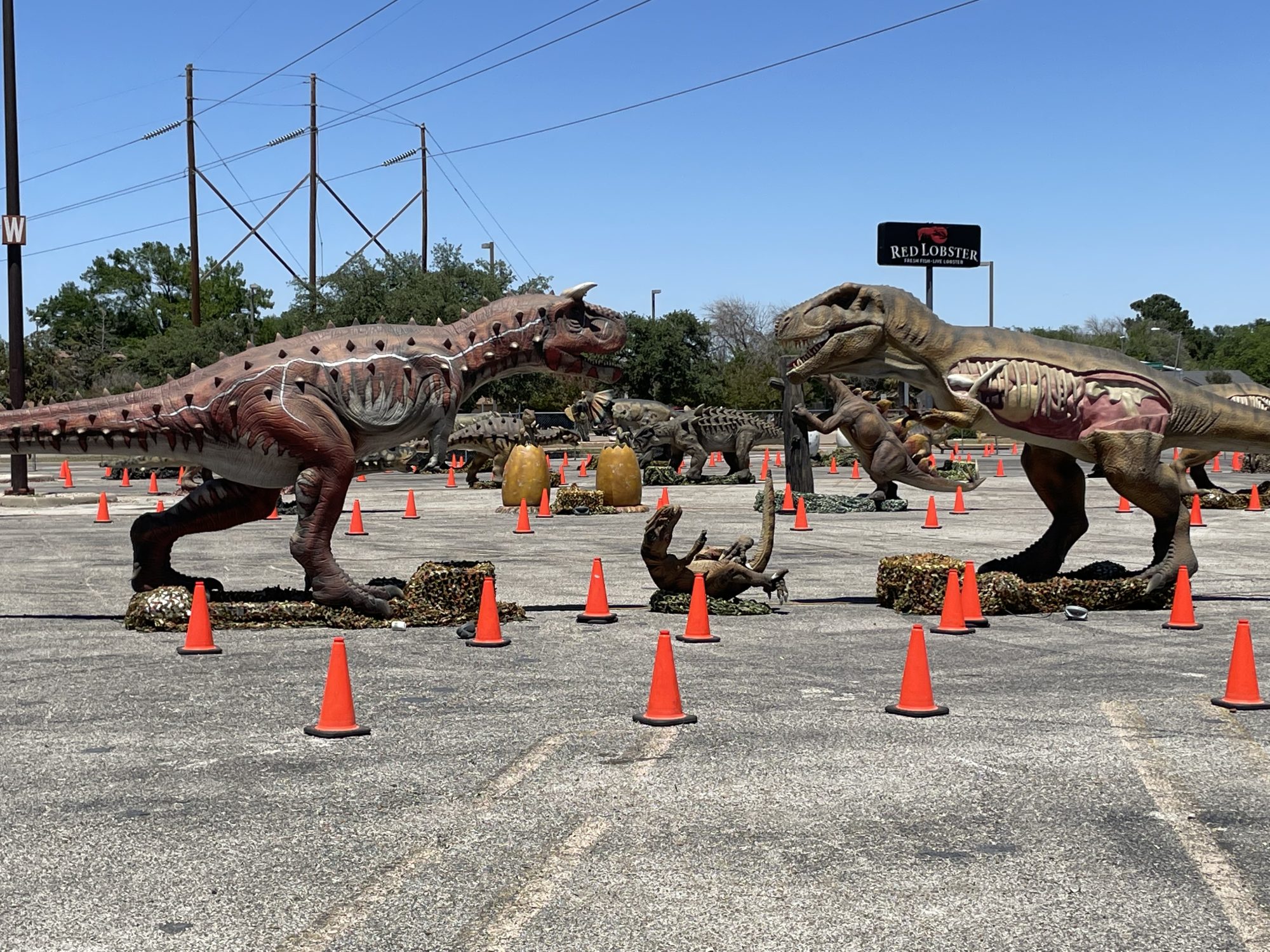 Jurassic Empire Sunset Mall