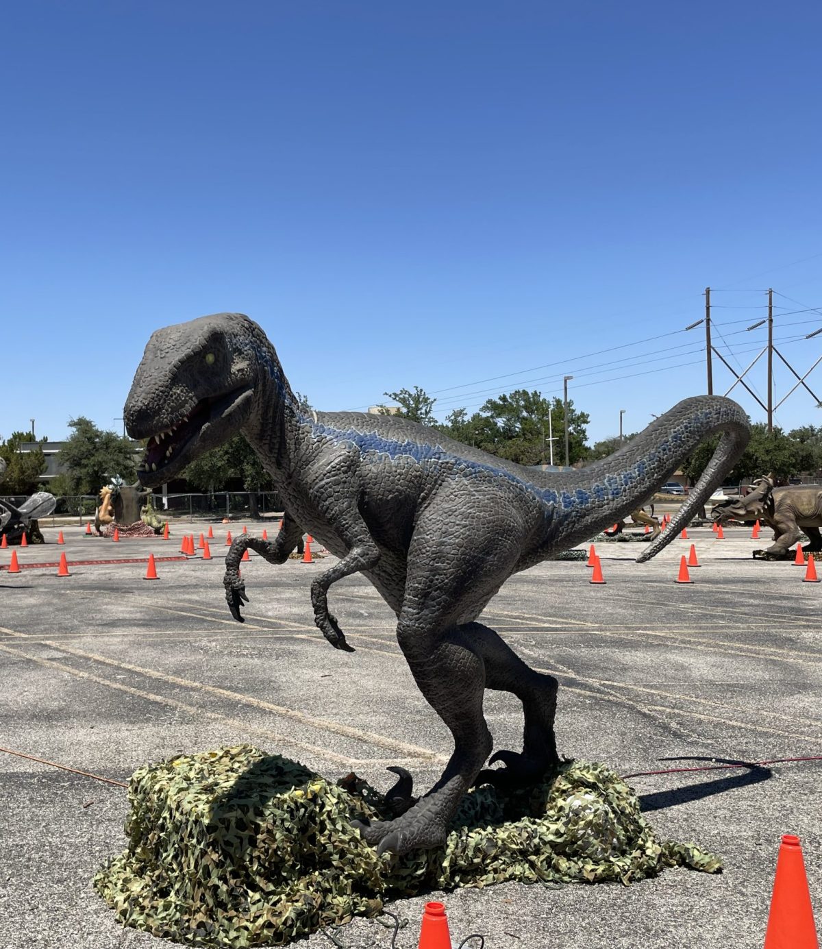 Jurassic Empire Sunset Mall