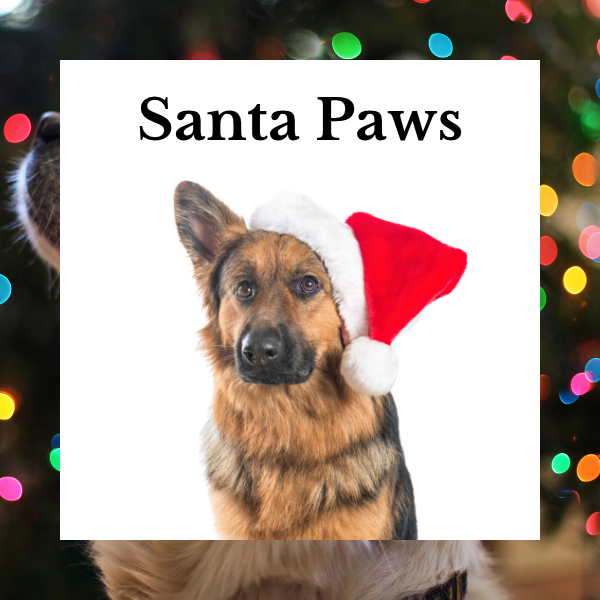 Santa Paws