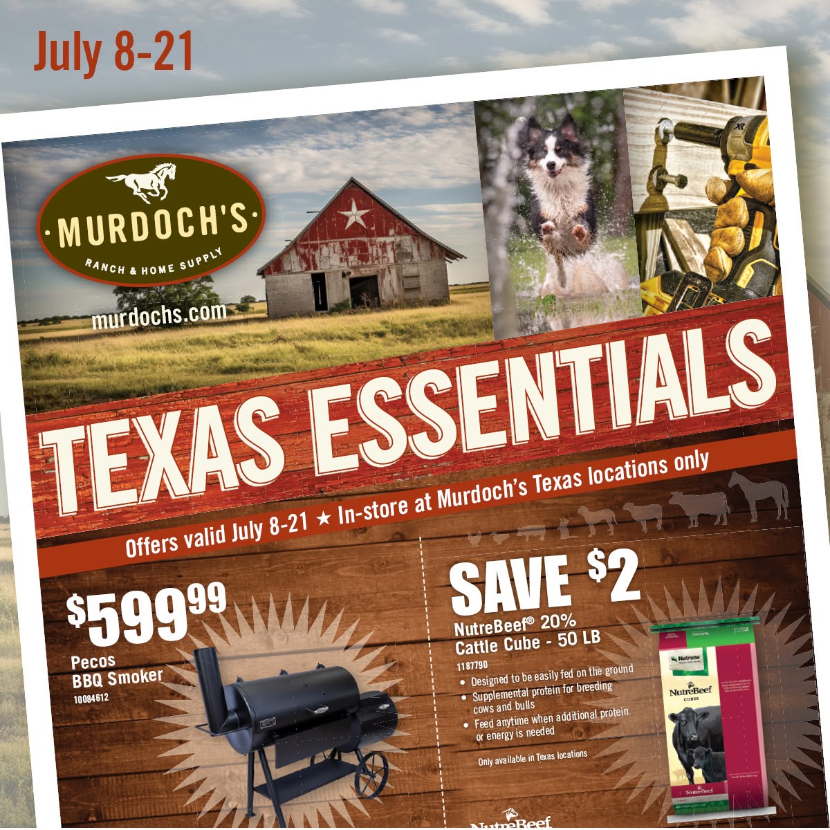 Texas Essentials icon